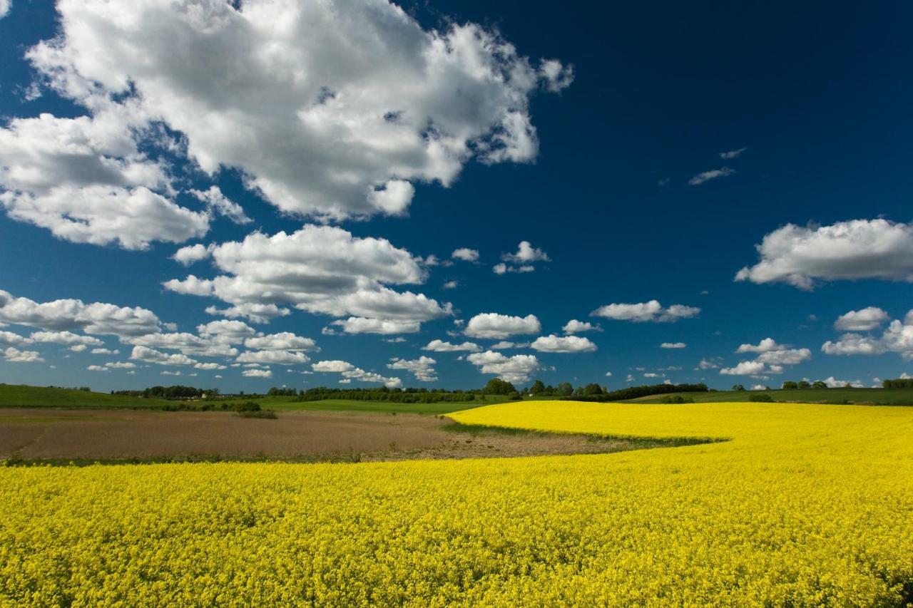 Rezydencje Willa Port Apartamenty Antinori Ostróda Esterno foto